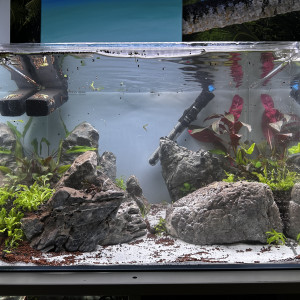 Publication de Arthur64200