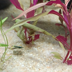 Publication de james-zaug