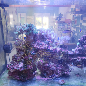 Publication de FIRJUD