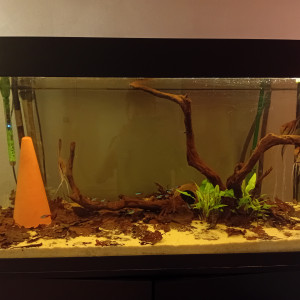 Publication de vv091v