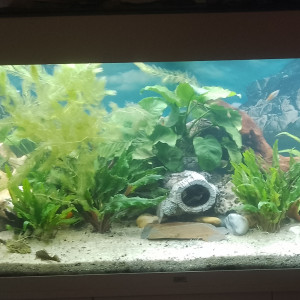 Publication de Fred22lassy