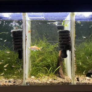 Publication de Kevr48