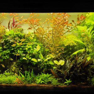 Publication de boubou59