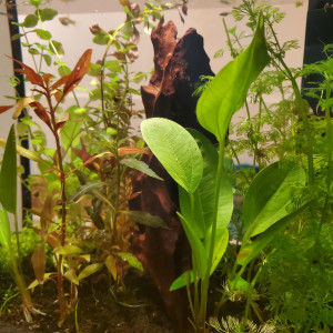 Publication de Mariekiwi