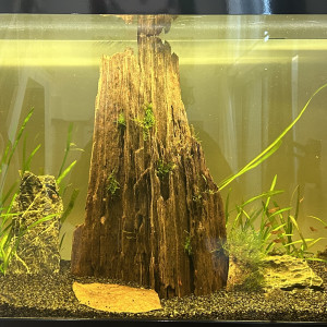 120L