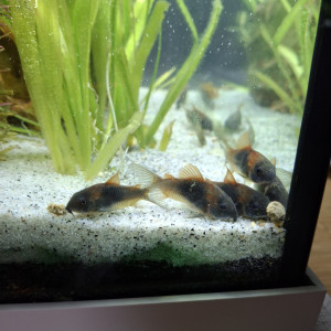 Publication de StephL