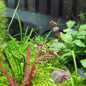 Publication de Olivoliv