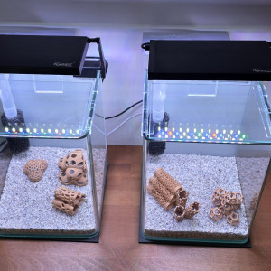 Publication de boubou59