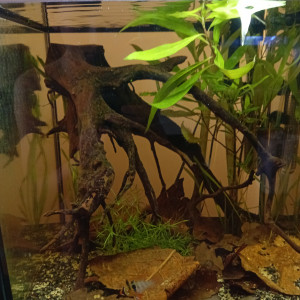 Publication de vv091v