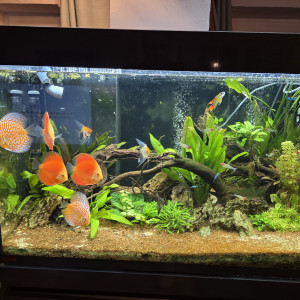 Publication de frederic-obami