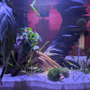 AMTRA NANOSCAPING 35