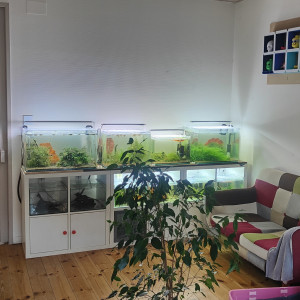 Publication de ducatbee74