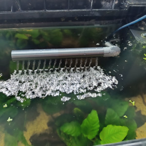 Publication de Herve92