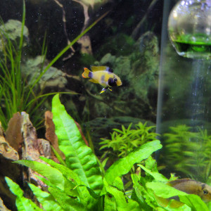 Publication de Stephane06580