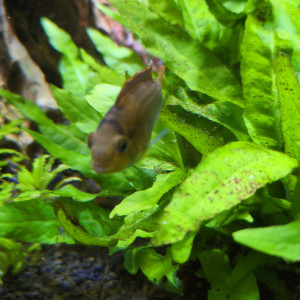 Publication de Stephane06580