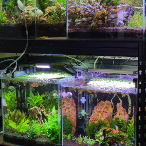 Publication de Stephane06580