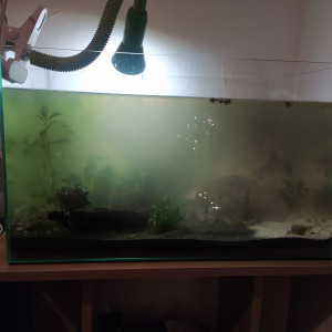 Publication de Coraquarium