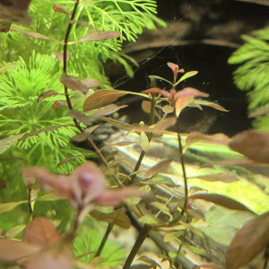 Publication de Alex_Saignor