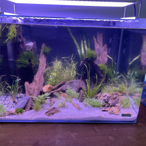 Publication de Sally57