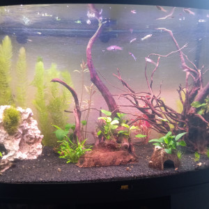 Publication de Fafa1921