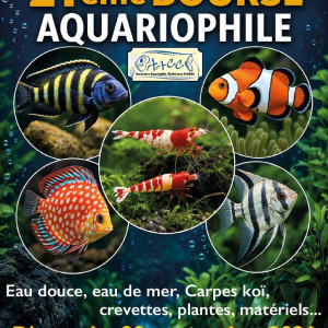 21ème bourse aquariophile