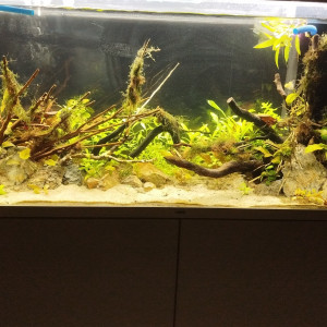 Publication de Fla34070