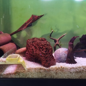 Publication de NicolasAM