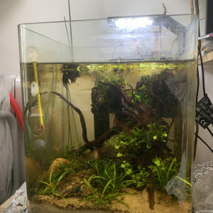 Publication de luciol3