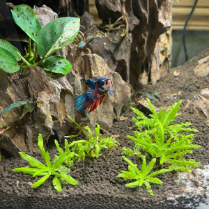 Publication de Olivia.S