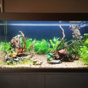 Publication de mactouch