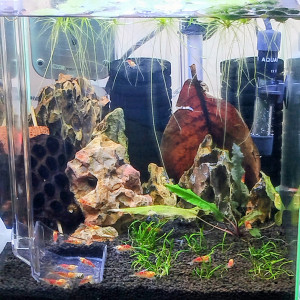 Aquarium 30L