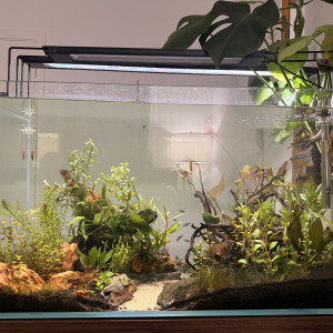 Publication de Anaslayer