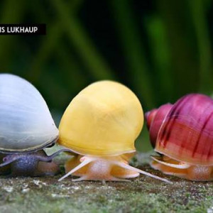 Publication de alexis46