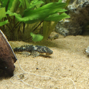 Publication de michelle682504