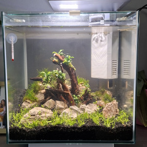 Publication de Guizmo015