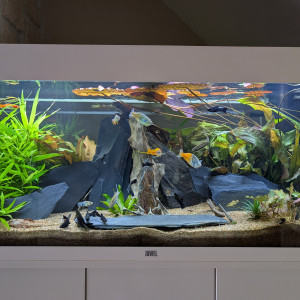 JUWEL RIO 180 LED