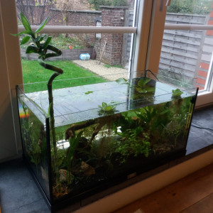 low tech 54l