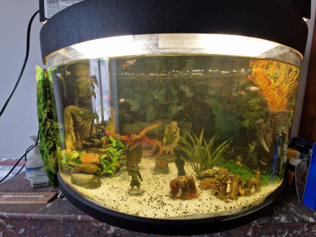 aquariophile Pioupiou4530