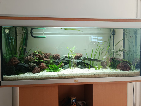 aquariophile Ultra