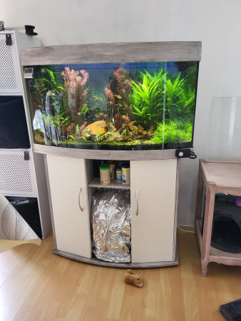 aquariophile Tony61