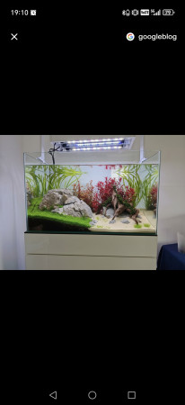 aquariophile bilal-abn