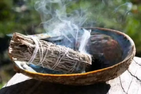 aquariophile bubaafrica