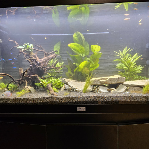 Vend Aquarium complet sous garantie 240l
