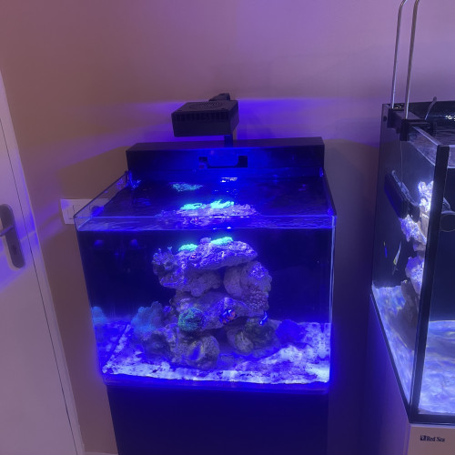 Aquarium marin complet