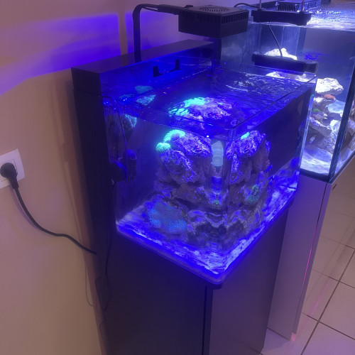 Aquarium marin complet