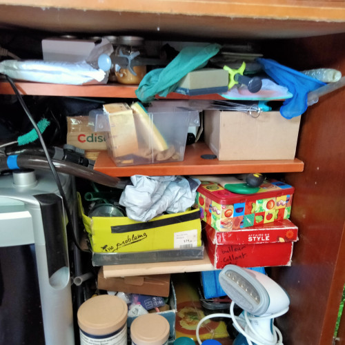 Je cède un aquarium complet
