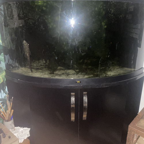 Aquarium 350l + poisson