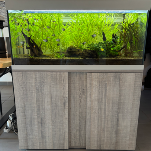 Aquarium 180L + Pompe 400L