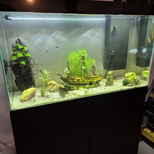 don meuble aquarium