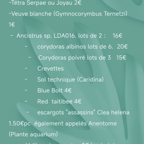 aquarium de 60 litres entièrement équipé.